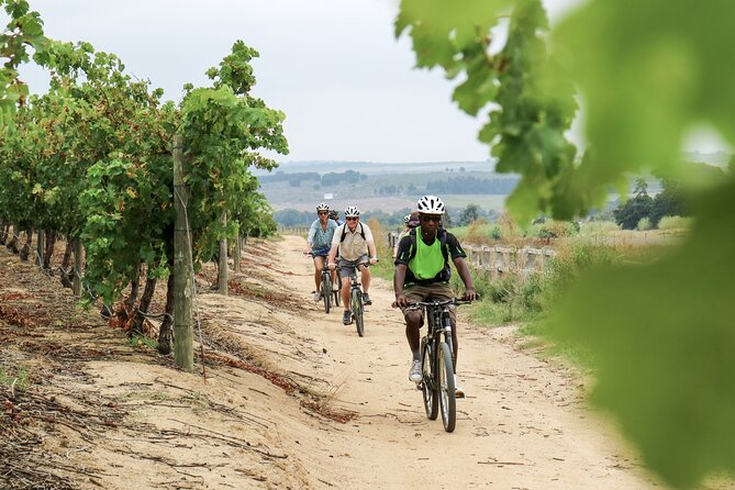 Stellenbosch Half Day Winelands Mountain Bike Tour - The ride itself: mountain bike time with a schedule, not free roaming