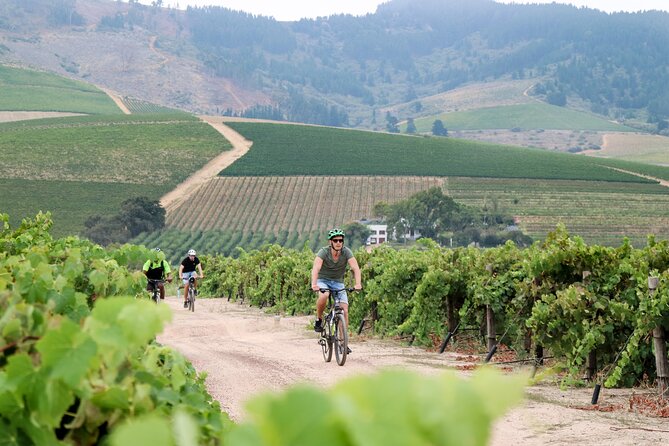 Stellenbosch Half Day Winelands Mountain Bike Tour - Price and value: what $63.20 covers in practice