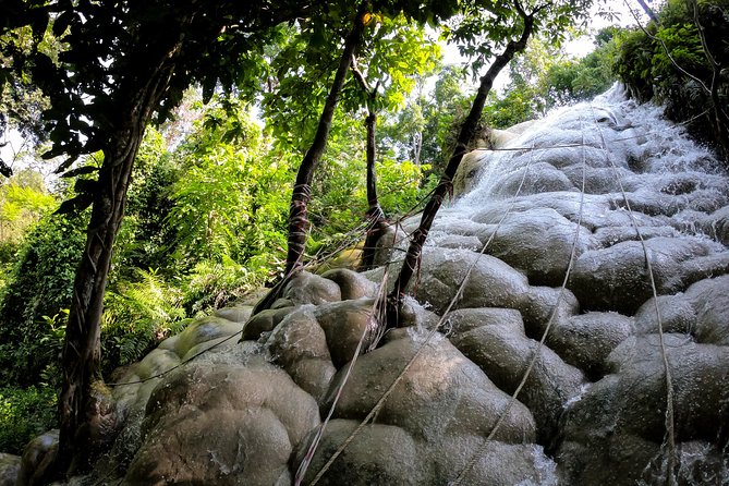 Sticky Waterfall Cycling Tour - Key things to know before you go