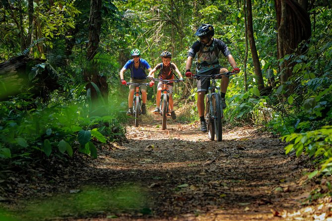 Sticky Waterfall Cycling Tour - Price and Value: Does $81.46 Make Sense?