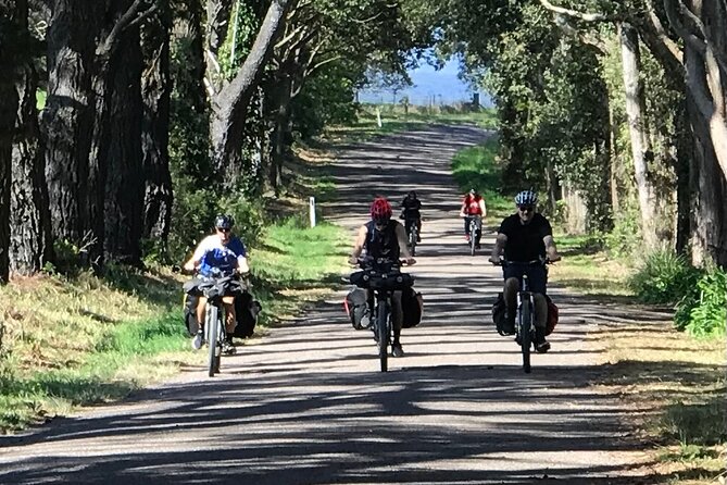 Sydney Electric Mountain Bike Guided Tour - Safety Gear and Equipment: Why It Feels More Professional Than DIY