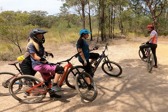 Sydney Electric Mountain Bike Guided Tour - Price and What You Actually Get for $132.69