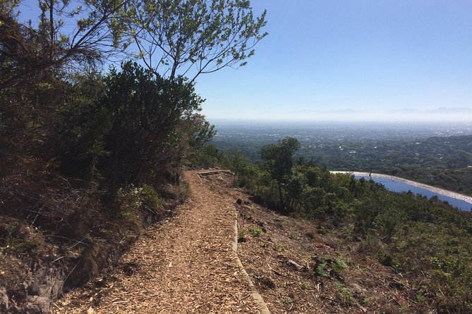 Table Mountain Cycling Experience - What You’re Paying For: Price, Private Transport, and Bike Rentals