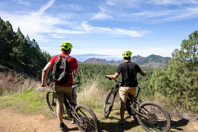 Tenerife: Guided Electric Mountain Bike Volcano Tour - The route rhythm: forests, lava fields, and a satisfying descent