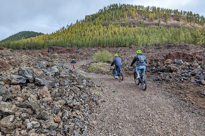 Tenerife: Guided Electric Mountain Bike Volcano Tour - Price and value: why $108.37 can make sense