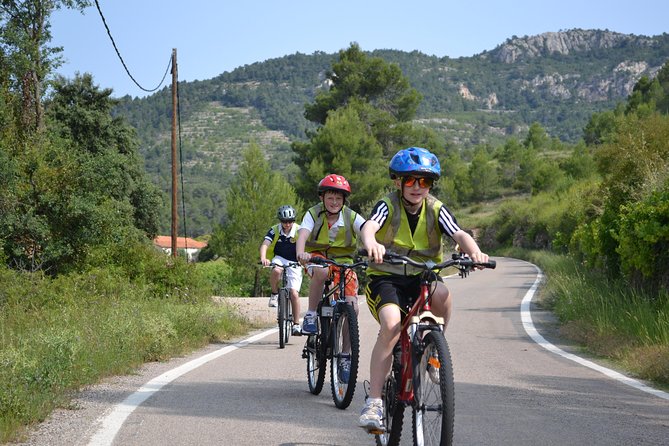 The Grape Escape! Cycling in Beautiful Scenery with Wine Tasting - Family Vineyard Stop: Wine-Making Lessons and Two Quality Tastings