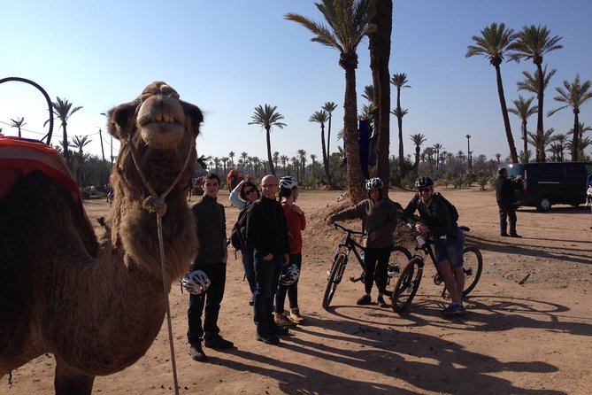 The Palmery Off-Road Bike Tour from Marrakech - Where the tour starts: get yourself to Route Palmeraie