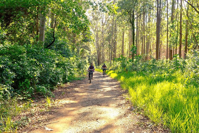 The Train Track Trail Mountain Bike Ride - Private experience - Key things to know before you ride