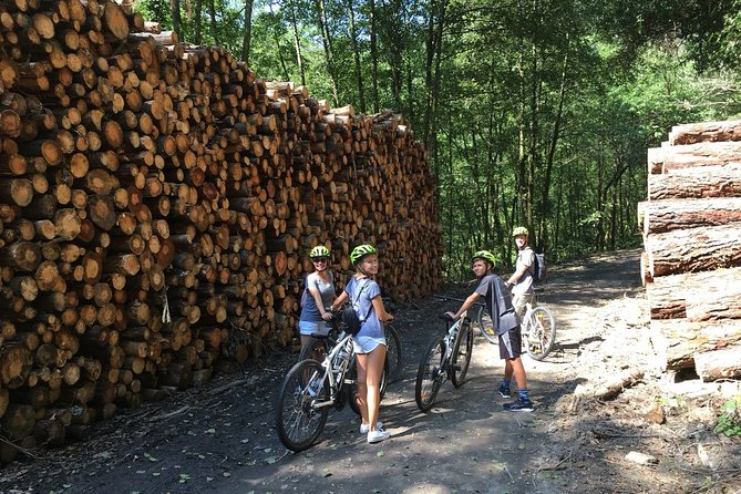 The Train Track Trail Mountain Bike Ride - Private experience - Why this ride feels special: an old rail line turned into a bike escape