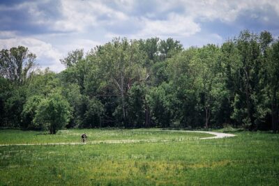 The Train Track Trail Mountain Bike Ride - Private experience - The real talent here is the pacing: tailored riding for families and amateurs