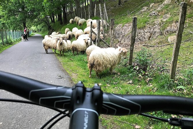 The Train Track Trail Mountain Bike Ride - Private experience - Pickup, timing, and how to fit it into your San Sebastián day