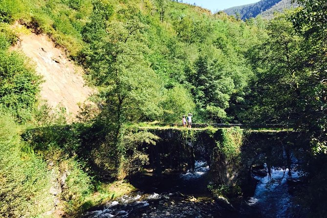 The Train Track Trail Mountain Bike Ride - Private experience - Price and value: what $276.67 gets you in the real world