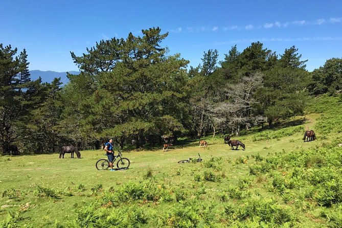 The Train Track Trail Mountain Bike Ride - Private experience - Tips to make the day smoother (so it feels like fun)