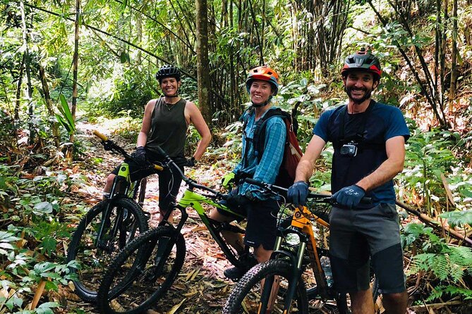 The Volcano Trail – Epic Volcano Cycling Adventure - The Big First Act: Kintamani and the Mostly Downhill Descent