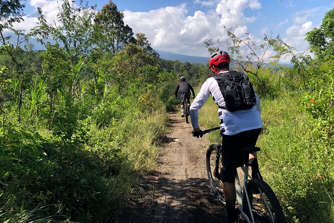 The Volcano Trail – Epic Volcano Cycling Adventure - Rice Paddies and Villages: The Cross-Country Stretch That Resets Your Legs