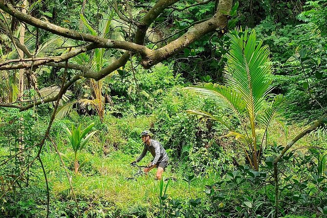 The Volcano Trail – Epic Volcano Cycling Adventure - Practical Tips for Your Morning Start From Ubud
