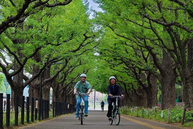 Tokyo: 3h Private E-bike Tours, Starting at Your Hotel - The 3-hour loop: from skyscrapers down to back streets