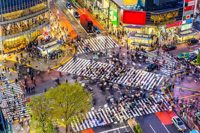 Tokyo Bike Tour: Shibuya & Hidden Tokyo - Shibuya by bike: faster than walking, calmer than you’d expect