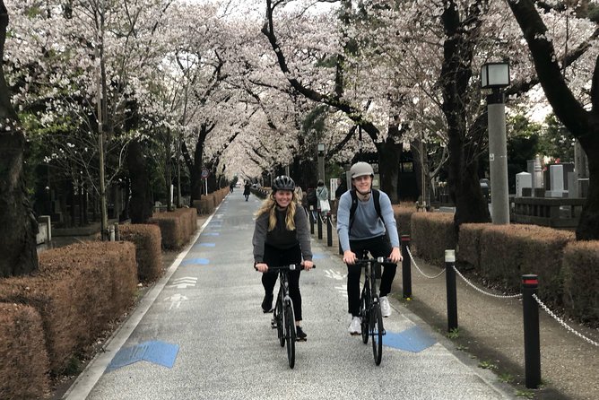 Tokyo Bike Tour: Shibuya & Hidden Tokyo - Safety and pace: what you’re signing up for on a non-electric bike