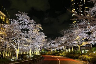 Tokyo Night Bike Tour: From Shibuya to Tokyo Tower via Roppongi - Before You Go: Ride Fit, Pace, and What You Need to Be Comfortable With