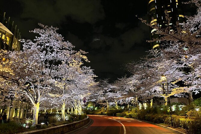 Tokyo Night Bike Tour: From Shibuya to Tokyo Tower via Roppongi - Before You Go: Ride Fit, Pace, and What You Need to Be Comfortable With