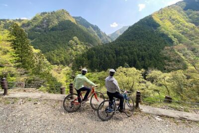 Tokyo's hidden nature cycling tour - Okutama Historical Road Tour - Price and value: what $184.61 buys you (and why it’s not just a bike rental)