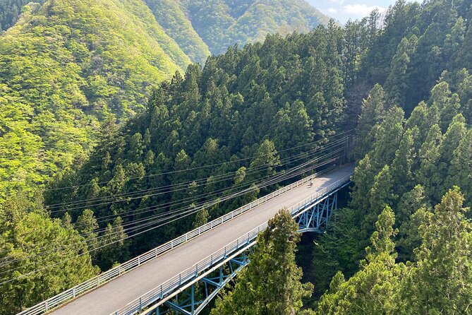Tokyo's hidden nature cycling tour - Okutama Historical Road Tour - Wildlife chances near the suspension bridge (and how to think about it)