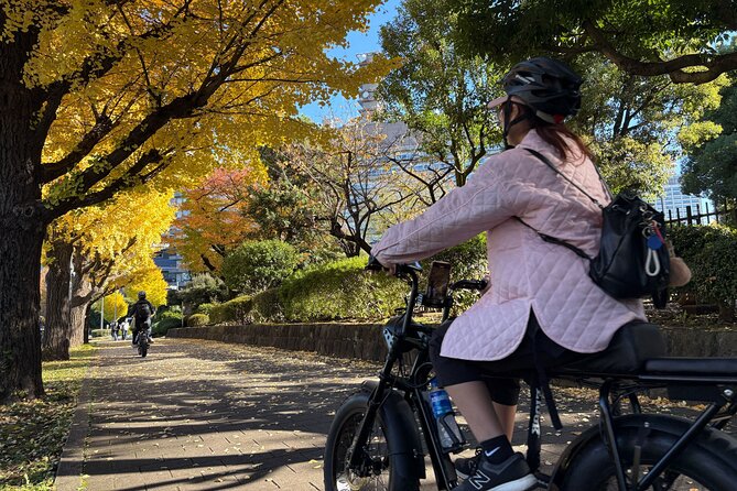 Tokyo Top Highlights 3h Guided E-bike Tour - Tokyo Bay loop: shrines, waterfront passing, and Odaiba snacks
