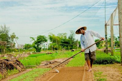 Tra Que Village Cycling And Farming - Getting started at 119 Tran Quang Khai (and keeping the morning simple)