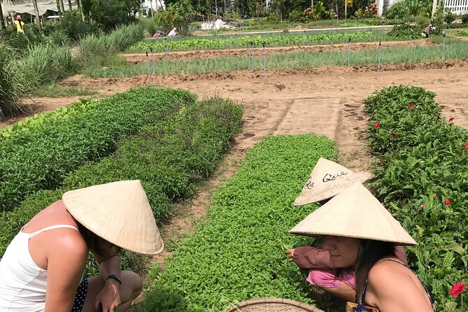 Tra Que Village Cycling And Farming - Guides make or break it: Kim, Emma, and Tintin’s different styles
