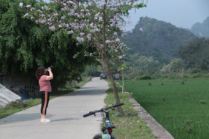 Trang An and Bich Dong Luxury Small Group Tour with Cycling - Bich Dong Pagoda: Steps, Caves, and Buddhist Roots