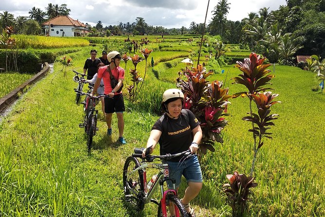 Ubud Cycling Tour - Best For Families, Couples, and Curious Solo Riders