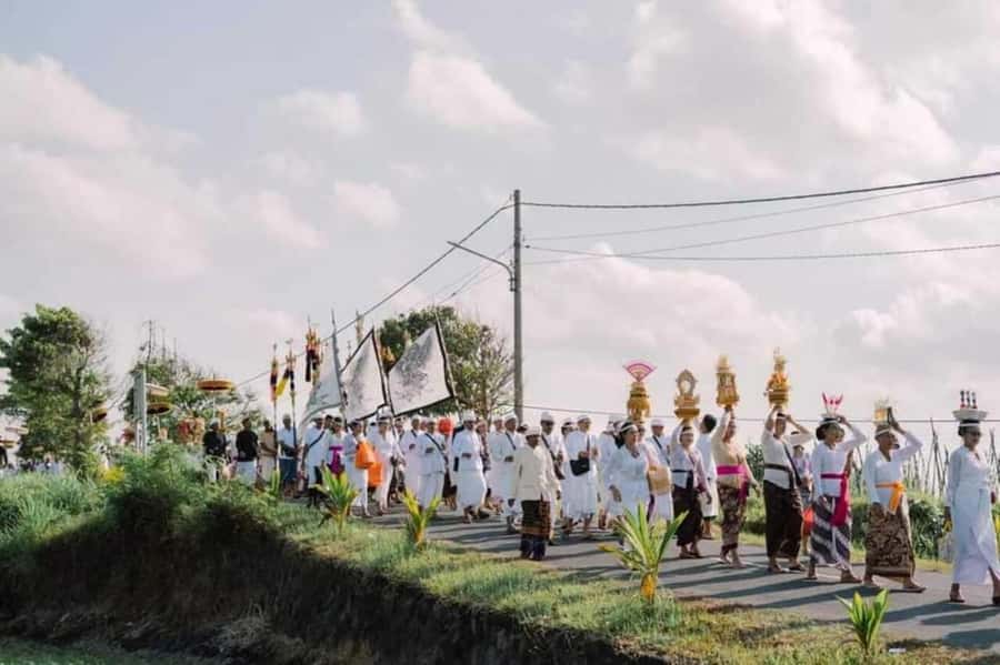 Ubud: Cycling Tour Local Villages, Temple, and Rice Field - Key highlights at a glance