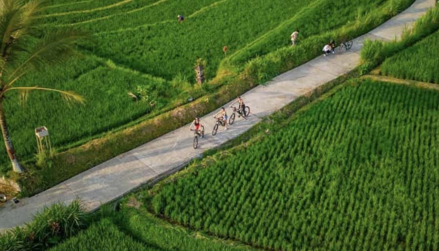 Ubud: Cycling Tour Local Villages, Temple, and Rice Field - Village stop time: seeing Balinese daily life without rushing