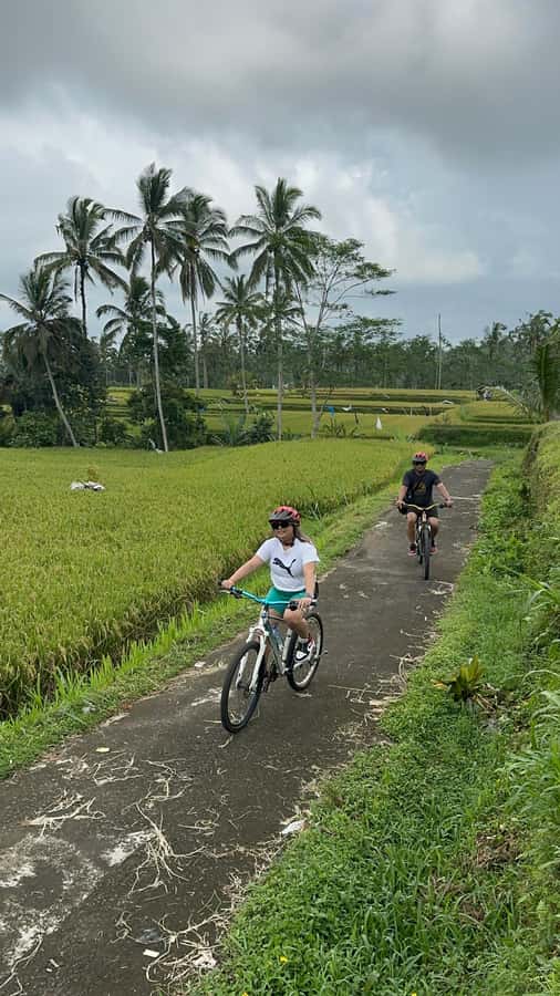 Ubud: Cycling Tour Local Villages, Temple, and Rice Field - Coffee plantation tasting, including Luwak coffee