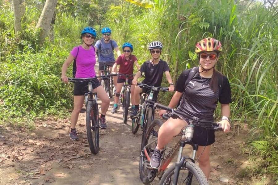 Ubud: Cycling Tour Local Villages, Temple, and Rice Field - The ride through rice fields and villages: what to notice as you pedal