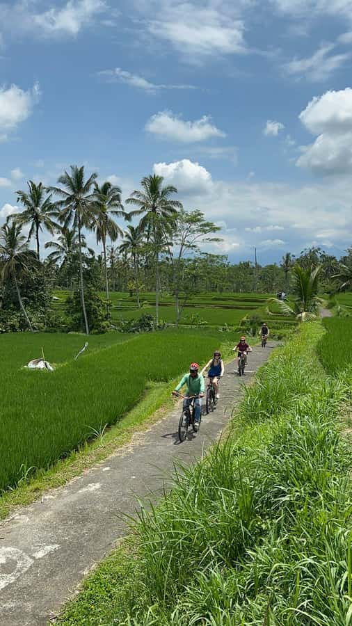 Ubud: Cycling Tour Local Villages, Temple, and Rice Field - Who this tour fits best (and who should skip it)