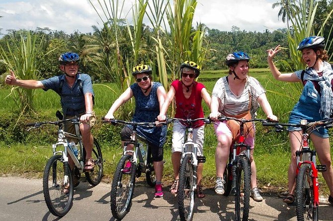 Ubud Cycling Tour - How the Route Plays Out: Rice Terrace, Coffee Farm, Mount Batur