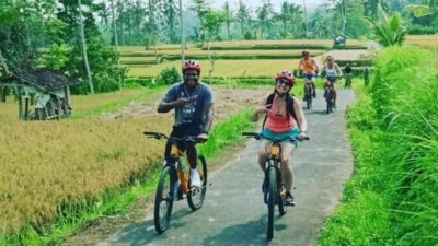 Ubud: Downhill Countryside Cycling From Kintamani - The downhill from Kintamani: views, pace, and keeping control