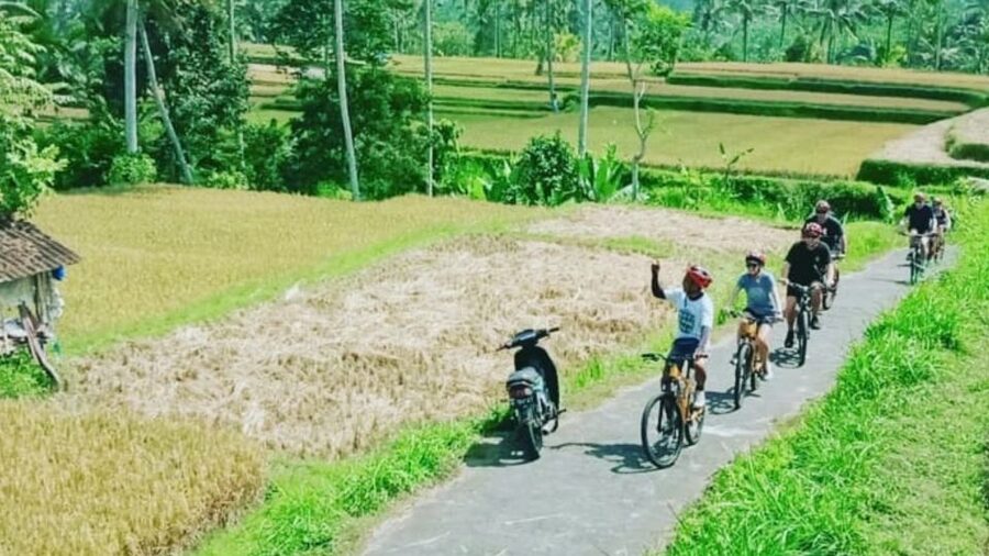 Ubud: Downhill Countryside Cycling From Kintamani - Who should book this downhill cycling day