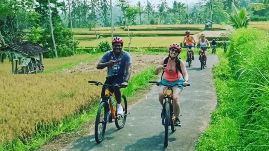 Ubud: Downhill Countryside Cycling From Kintamani - The downhill from Kintamani: views, pace, and keeping control