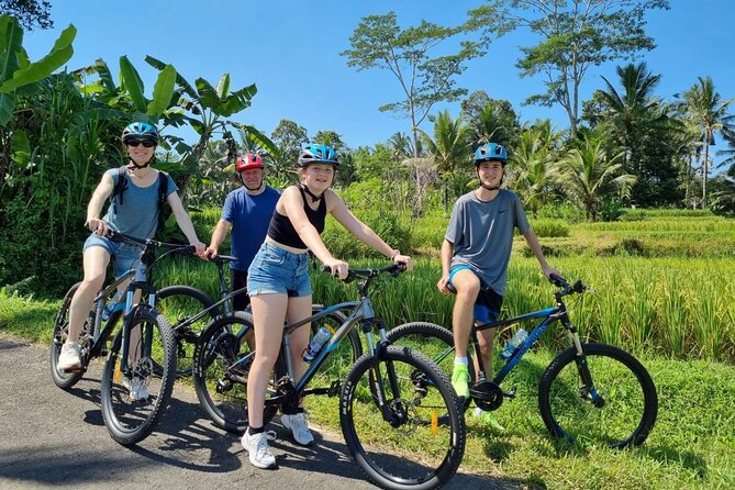 Ubud: Downhill Cycling with Volcano, Rice Terraces and Meal - Downhill from Mount Batur: why this beats a Ubud-only day