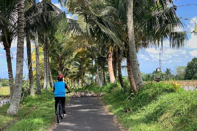 Ubud: Downhill Cycling with Volcano, Rice Terraces and Meal - Manukaya cultural stops: school, family compound, and temple time