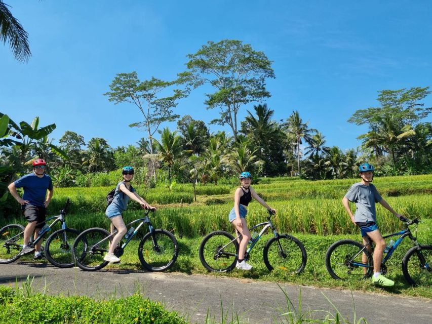 Ubud: Downhill Cycling with Volcano, Rice Terraces, and Meal - Should You Book This Ubud Downhill Ride?