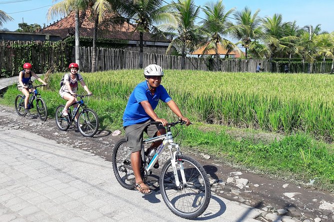 Ubud Eco Culture Cycling Exploration - Rice paddies on Abangan and Junjungan: coconut, views, and momentum