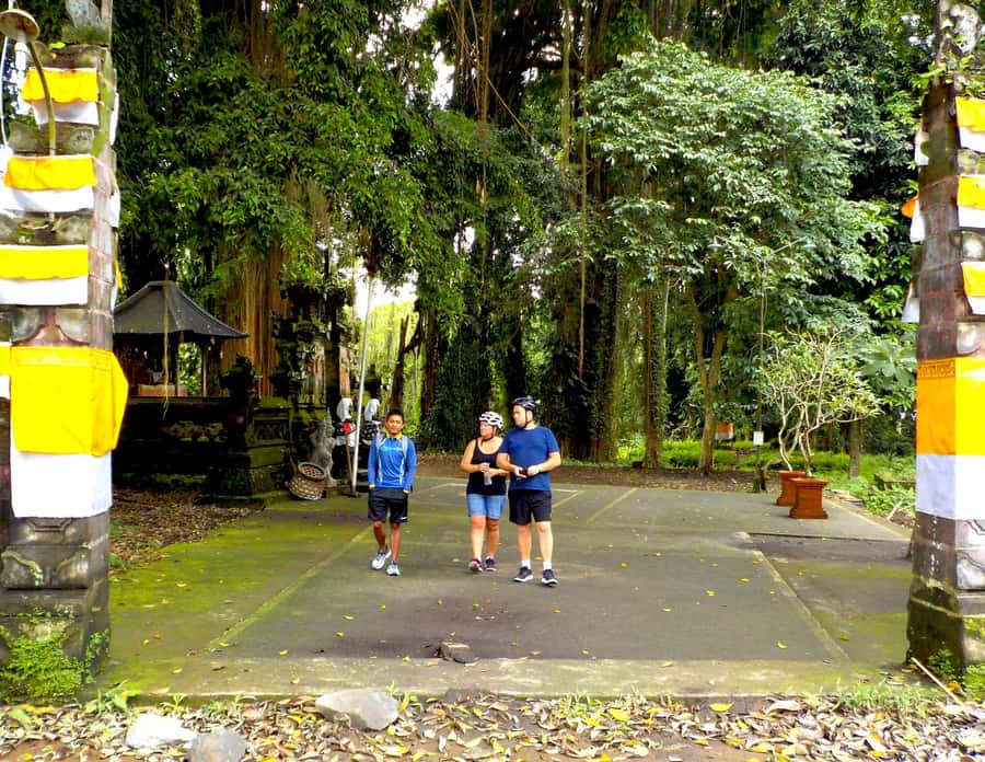 Ubud: Half-Day Tegallalang Electric Cycling Tour - Key things that make this tour worth your time