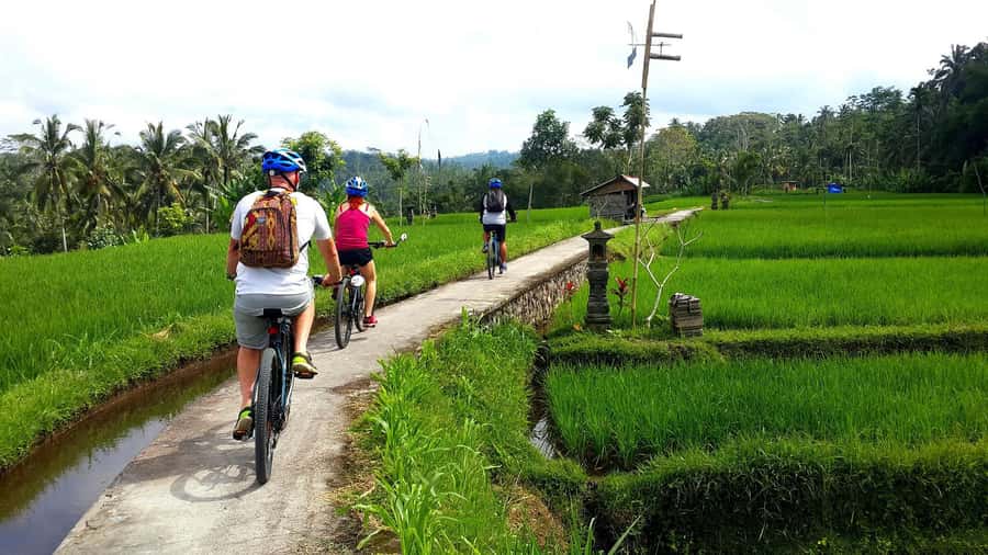 Ubud: Half-Day Tegallalang Electric Cycling Tour - What a 3-hour electric cycling tour is like in Ubud