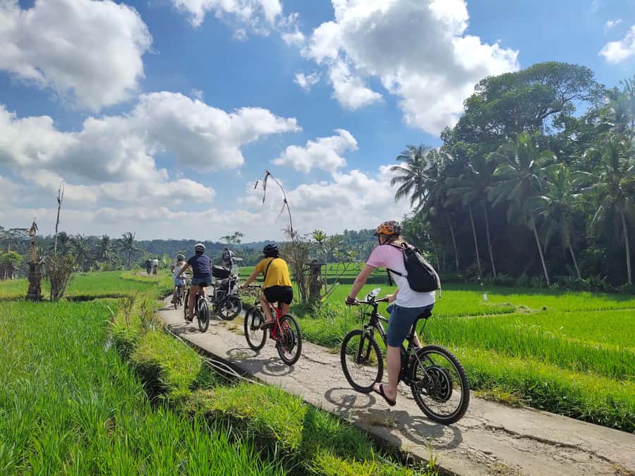 Ubud: Half-Day Tegallalang Electric Cycling Tour - Safety briefing, helmets, and how you actually ride