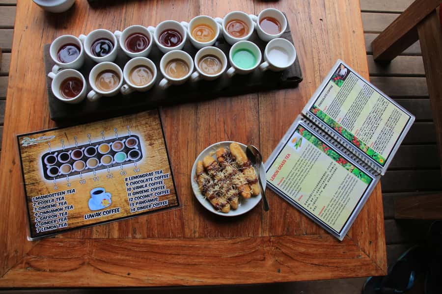 Ubud: Half-Day Tegallalang Electric Cycling Tour - The ride to Tegallalang: rice terraces, photo moments, and countryside pace