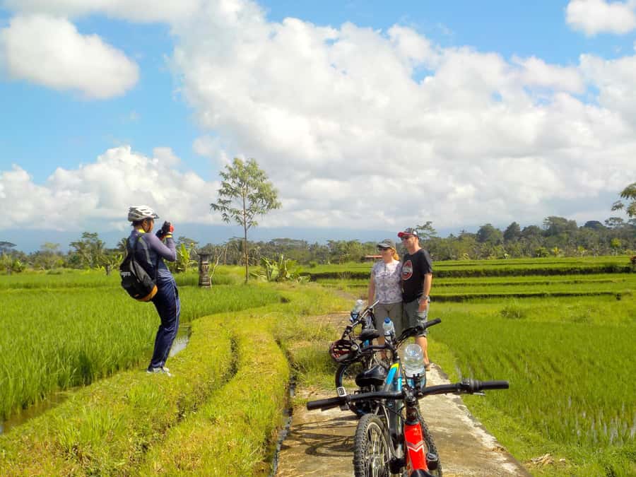 Ubud: Half-Day Tegallalang Electric Cycling Tour - Lunch in Ubud: included, but be ready to be selective